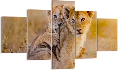 Produktbild von Bild auf Leinwand - Leinwandbild - Löwe Natur Tier - 125x70cm - Wand Bild - Wanddeko - Wandbilder - Leinwanddruck - Bilder - Kunstdruck - Wanddekoration - Leinwand bilder - Wandkunst - EA125x70-3480
