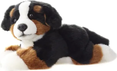 Image de Bouvier bernois animal en peluche couché 25 cm Teddys Rothenburg