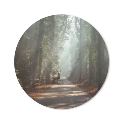 Produktbild von MuchoWow® Mauspad Mousepad Hirsche - Wald - Sonnenstrahlen 20x20 cm - Mousepads - Maus Mat - Pad - Mausunterlage - Schreibtischmatte