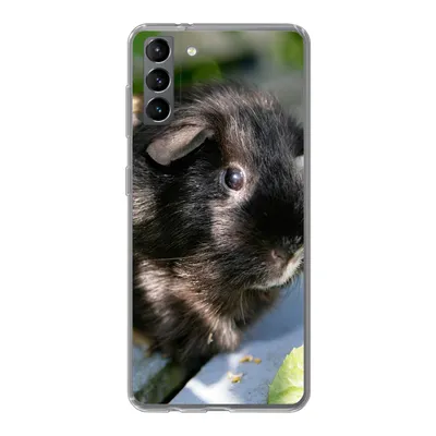 Produktbild von MuchoWow® Handyhülle Schutzhülle Hülle für Samsung Galaxy S21 Plus Meerschweinchen im Garten Silikon Softcase Handy Hülle - Handy-Tasche