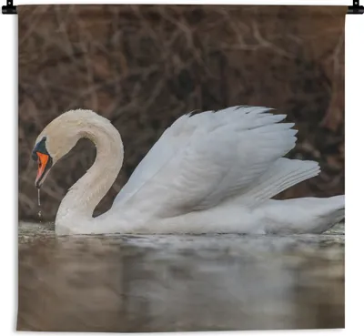 Produktbild von MuchoWow® Wandteppich Wandbehang Schwan - Wasser - Tiere - Vogel 150x150 cm Tapisserie Dekoration Wandtuch - Wohnaccessoires - Modernes