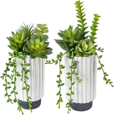 Produktbild von Famanu Kunstpflanzen Set 2 Stück - Eucalyptus in Keramiktöpfen