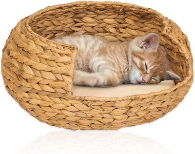 Image de Famanu Katzenkorb, diamètre 42 cm – Confortable et écologique