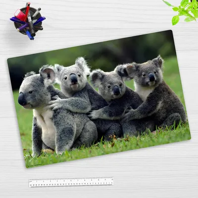 Produktbild von Schreibtischunterlage für Kinder und Erwachsene - Koala Familie - 60 x 40 cm - aus Premium Vinyl -  Germany