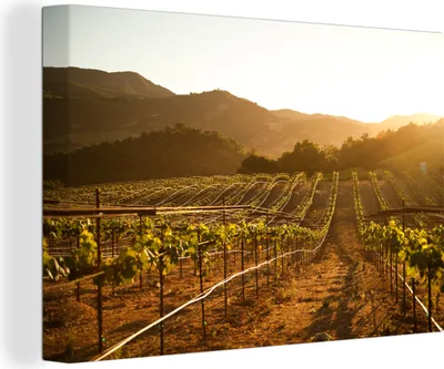 Produktbild von OneMillionCanvasses® - Leinwandbilder - 140x90 cm, Weinberg bei Sonnenuntergang, Wandbilder Kunstdruck Wanddekoration - Foto auf Leinwand - Gemälde auf Holzrahmen