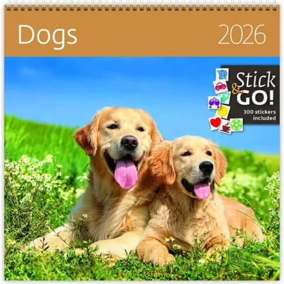 Image de Chiens 2026 - calendrier mural