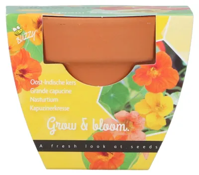 Produktbild von Wachsen Geschenke Baumschule Kit wachsenden Geschenk östlichen indischen Kirsche - Buzzy