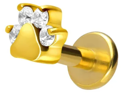Produktbild von Ohrpiercing, Nasenpiercing Titan Labret mit Innengewinde KRISTALLPFOTE Gold Stablänge: 6mm | Stabstärke: 1,6mm