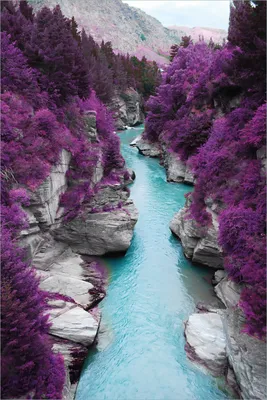 Produktbild von Wallario selbstklebendes Poster - Fluss in lilafarbener Schlucht, Größe: 61 x 91,50 cm