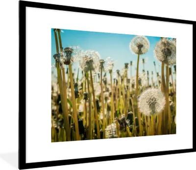 Produktbild von MuchoWow® Gerahmtes Poster Blumen - Löwenzahn - Gras 80x60 cm - Poster mit Schwarzem Bilderrahmen Wandposter Rahmen Foto Bilder - Schlafzimmer-Dekorationen - Fotoposter