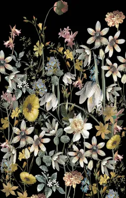 Productafbeelding van ESTAhome fotobehang veldbloemen multicolor op zwart 150 x 279 cm