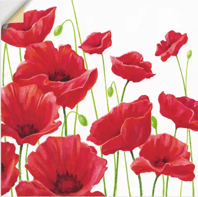 Produktbild von ARTland Wandbild, selbstklebend Rote Mohnblumen I Größe: 100x100 cm