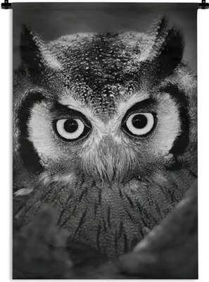 Produktbild von MuchoWow® Wandteppich Wandbehang Vogel - Eule - Porträt - Schwarz - Weiß 60x90 cm Tapisserie Dekoration Wandtuch - Foto-Teppich - Abwaschbar