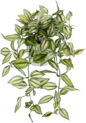 Obrázek produktu pro Umělá visící tradescantia s květináčem, umělá rostlina jako závěsná dekorace, závěsná rostlina, opora pro popínavé rostliny, závěsná rostlina, zelená rostlina, pokojová rostlina, popínavá rostlina, popínavá rostlina, 42 x 26 x 22 cm