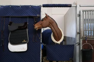 Produktbild von Kentucky Horsewear Kopfschutz für die Boxentür Navy