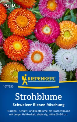 Produktbild von Kiepenkerl Strohblumensamen Schweizer Riesen Xerochrysum bracteatum 100 Pflanzen
