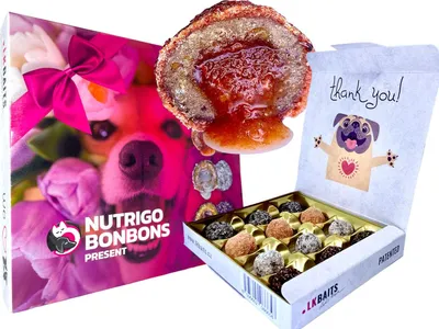 Obrázek produktu pro LK Baits Pet NUTRIGO BONBONS Present - Sváteční bonboniéra pro větší psy