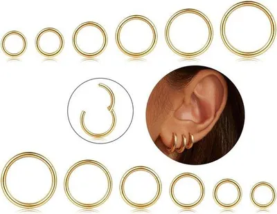 Productafbeelding van Neuspiercings 12 Stuks 16G - Rvs - Diverse Maten 6-16mm - Voor Trendy Look