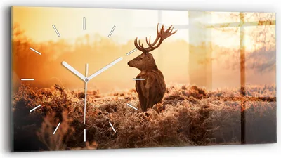 Produktbild von Wallfluent Wanduhr – Stilles Quarzuhrwerk - Uhr Dekoration Wohnzimmer Schlafzimmer Küche - Zifferblatt mit Strichen - weiße Zeiger - 60x30 cm - Hirsch bei Sonnenaufgang