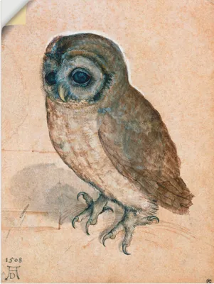 Produktbild von ARTland Wandbild, selbstklebend Käuzchen. 1508 Größe: 30x40 cm