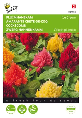 Image de Mélange de graines de Hahnenkamm nain | Graines de Hahnenkamm de Buzzy Seeds