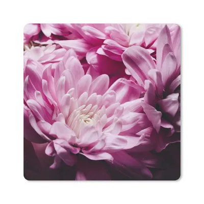Produktbild von MuchoWow® Mauspad Mousepad Blumen - Rosa - Natur 30x30 cm - Mousepads - Maus Mat - Pad - Mausunterlage - Gaming