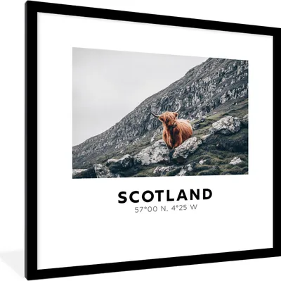 Produktbild von MuchoWow® Gerahmtes Poster Schottland - Highlander - Berge 40x40 cm - Poster mit Schwarzem Bilderrahmen Wandposter Rahmen Foto Bilder - Poster - Plakat im Rahmen