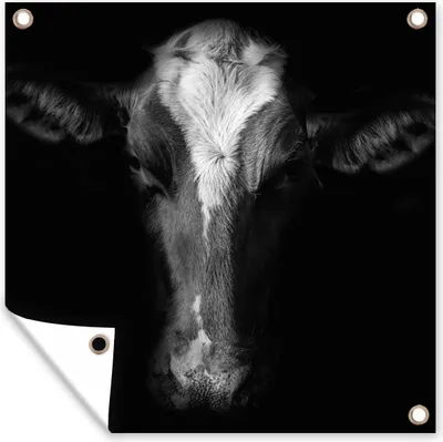 Produktbild von MuchoWow® 100x100 cm Outdoor-Poster Gartendeko Sichtschutz Garten Poster für den Garten  Kuh - Tiere - Schwarz