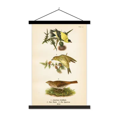 Produktbild von MuchoWow® Textilposter Antiker Vogeldruck 60x90 cm mit schwarzem Rahmen - Poster Wohnzimmer
