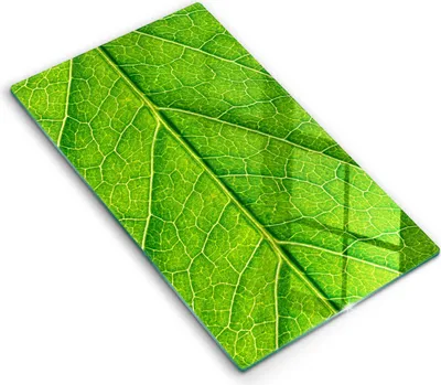 Produktbild von Abdeckung Glas - Küchenabdeckung - 30x52 cm - Abdeckplatte - Naturblattadern