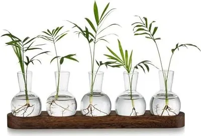 Produktbild von Glasseam Pflanzen Terrarium Glas Vasen, Propagation Station Glasvase Klein Blumenvasen Set, Hydrokultur Vase mit Hölzernen Tablett, Desktop Deko Vasen Glasterrarium Hydrovase für Wohnzimmer Büro Deko