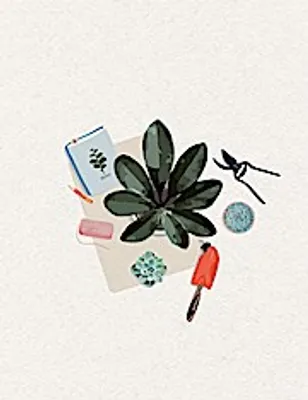 Produktbild von Plant it - Love it! Großes Notizheft Motiv Pflanzfreuden