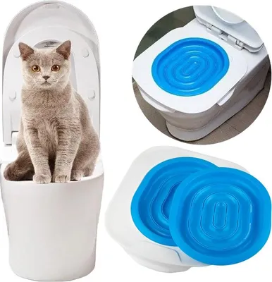 Immagine prodotto di Vassoio per gatti NILS blu