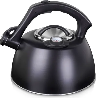 Image de Bouilloire en acier noir avec thermomètre pour eau, pour cuisinière à gaz ou induction, 3 l
