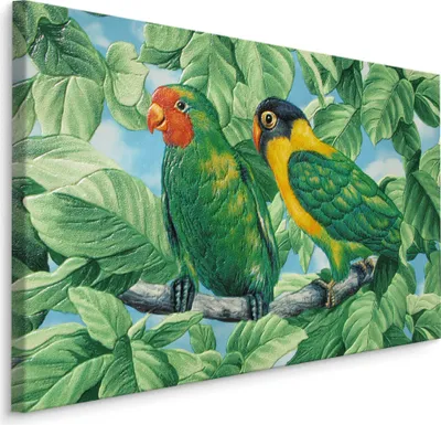 Produktbild von Fabelhafte Canvas LEINWAND BILDER 40x30 cm XXL Kunstdruck Vögel Papageien Exotisch