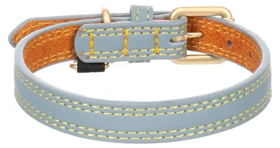 Image de Collier pour chien Virginia en cuir
