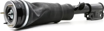 Produktbild von RIDEX 4118A0058 Luftfederbein Stoßdämpfer Vorne Rechts für LAND ROVER Range Rover III (L322)