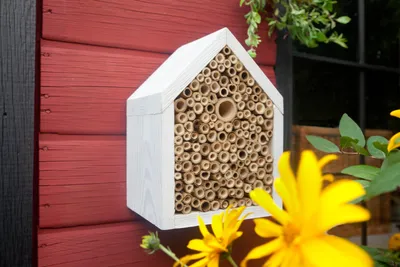 Produktbild von Insektenhotel für Wildbienen und andere Insekten, aus lasiertem Holz, vormontiert, 16x13x22 cm
