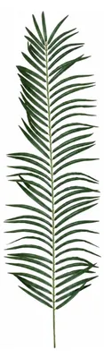 Produktbild von Künstlicher Palmwedel 110 cm | Kunstpflanze Palmzweig Großer Dekozweig