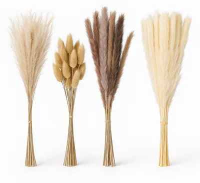 Trockenblumen-Set, 144 Pampaspluimen, 41 cm, Boho-Deko