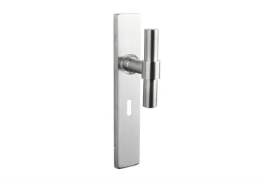 Immagine prodotto di Maniglia per porta Lavuzo Pesaro in acciaio inox con piastra rettangolare SL56 - Per set