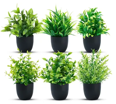 Image de TRANKIELO® - 6 mini-plantes artificielles en pots - Durables et nécessitant peu d'entretien - Idéales pour la décoration intérieure