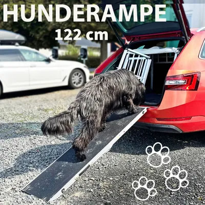 Produktbild von Hunderampe Hundetreppe Auto Kofferraum Treppen Rampe Einstiegshilfe für Hunde Klappbar Aluminium Auswahl Längen 122 cm Petigi