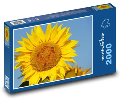 Obrázok produktu pre martinpuzzle - Puzzle 2000 - Slnecnice