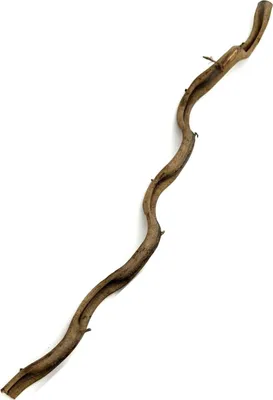 Produktbild von BioThai Terrarium Liane gewellt feuchtigkeitsbeständig 2-4 cm Durchmesser 100 cm Länge