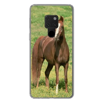 Produktbild von MuchoWow® Handyhülle Schutzhülle Hülle für Huawei P40 Lite Pferde - Gras - Braun Silikon Softcase Handy Hülle - Handy