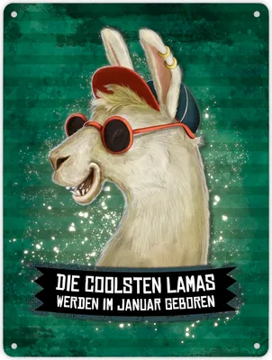 Produktbild von Metallschild XL mit Spruch: Die coolsten Lamas werden ... Schild Blechschild