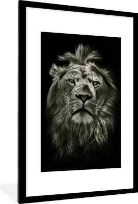 Produktbild von MuchoWow® Gerahmtes Poster Löwe - Tiere - Porträt - Wildtiere - Schwarz und weiß 60x90 cm - Poster mit Schwarzem Bilderrahmen Wandposter Rahmen Foto Bilder - Dekoration - Wandposter Wohnzimmer - Hochwertig
