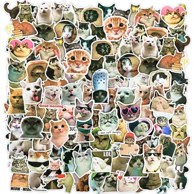 100 lustige Katzen-Meme-Aufkleber, wasserdicht, Vinyl, 5-8 cm