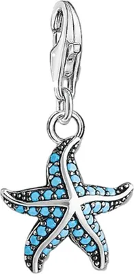 Produktbild von Thomas Sabo Damen Charm-Anhänger Seestern Türkis Silber 1521-667-17